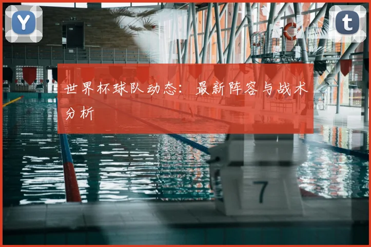 世界杯球队动态:最新阵容与战术分析